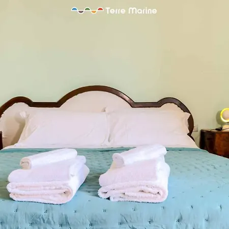 度假居 La Casa Del Glicine, Terre Marine 阿梅利亚